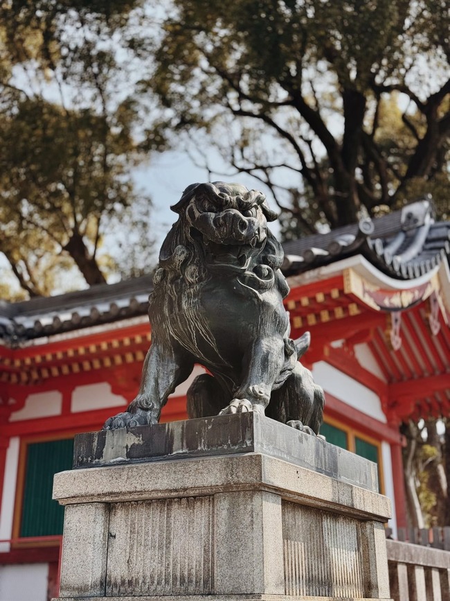 2-weeks-in-japan-v0-9bxy15jdkhse