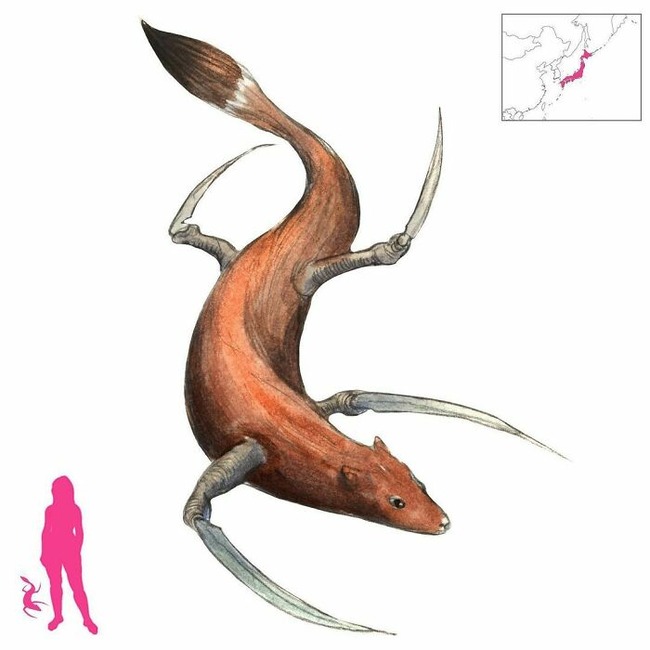 CmoaWSZqiiC-png__700