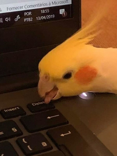 maxresdefault