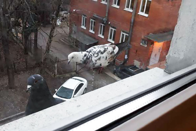not-photoshopped-photos-25-6527842aef328__700