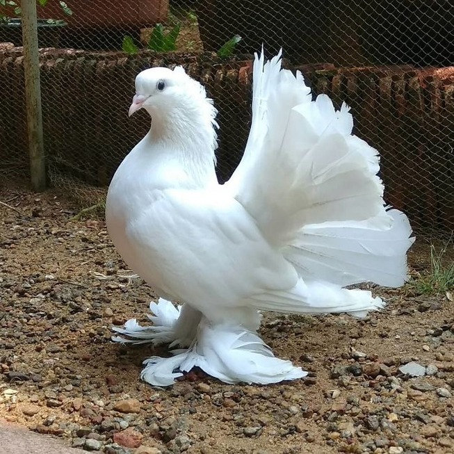 B_HZTgYDu9I-png__700