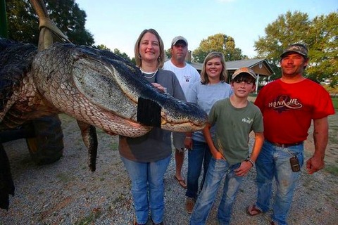 a2014-8-19gator16