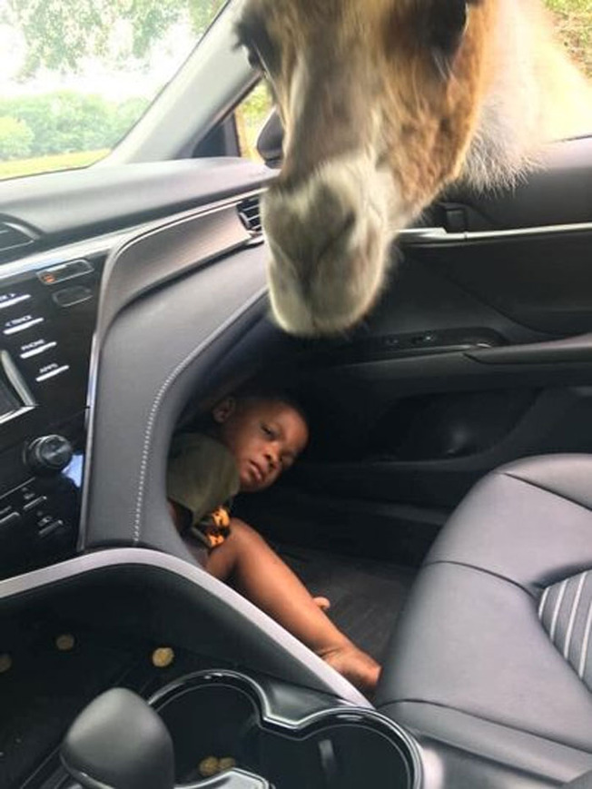 kids-in-predicaments-6204ec6f7ea05__700