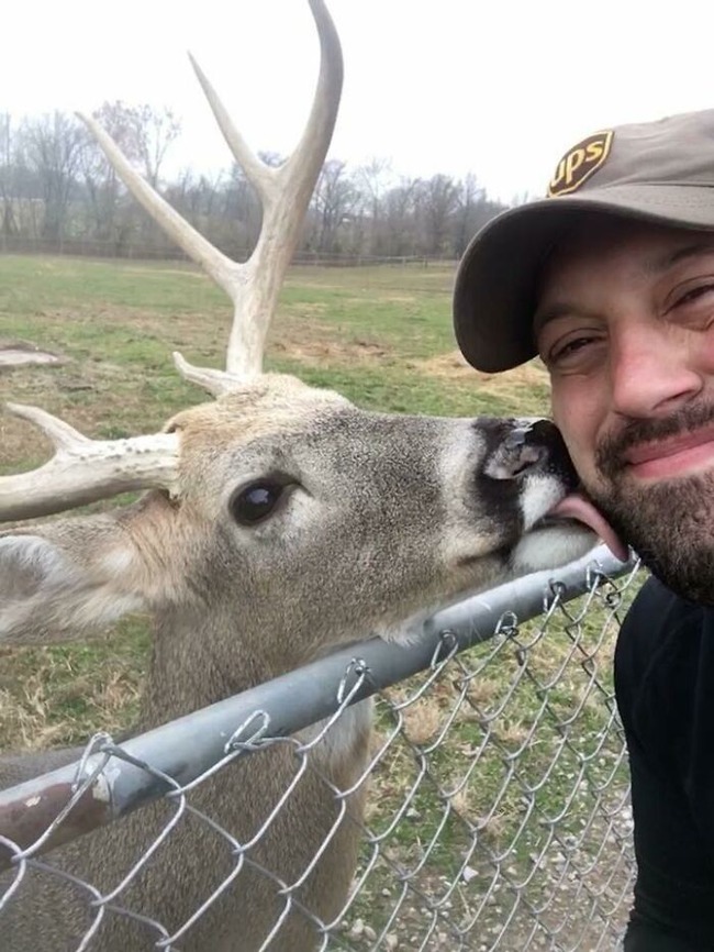 ups-drivers-meet-animals-best-of-all-time-8-6666a10a3b3d9__700