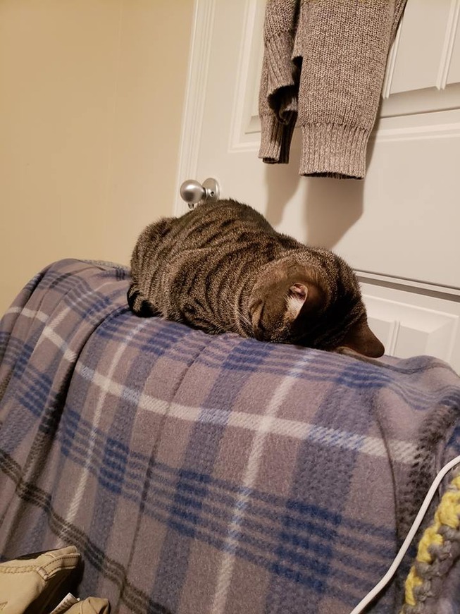 54519239_10206261597416086_4901001840188981248_n