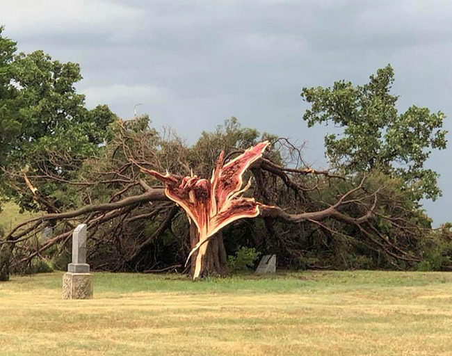 unlucky-wild-weather-pics-29-630dcd8b27292__700