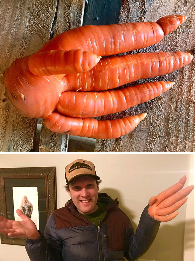pareidolia-funny-fruits-vegetables-11-60e54e0471158__700