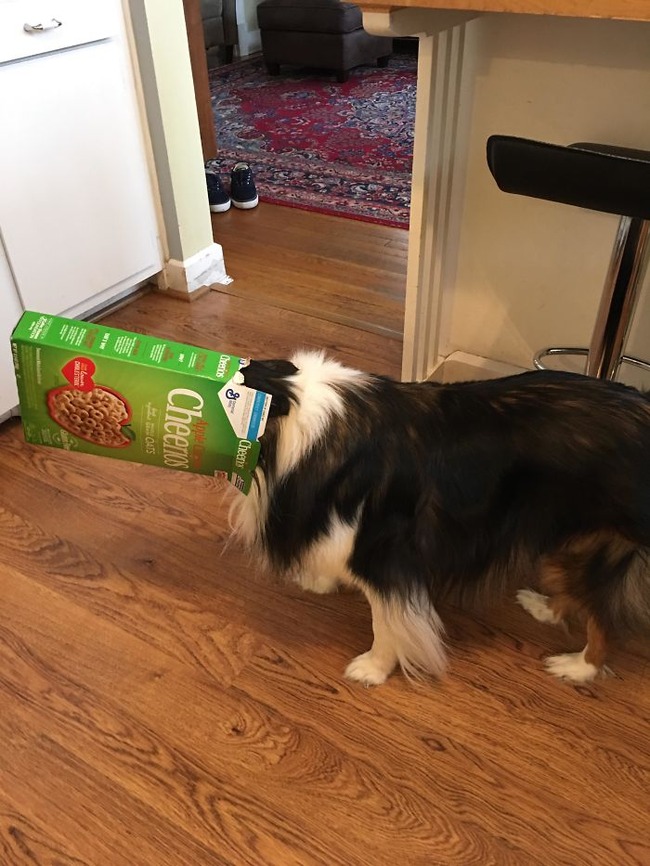 5f44f9515c0df_wxpth2c80x501__700