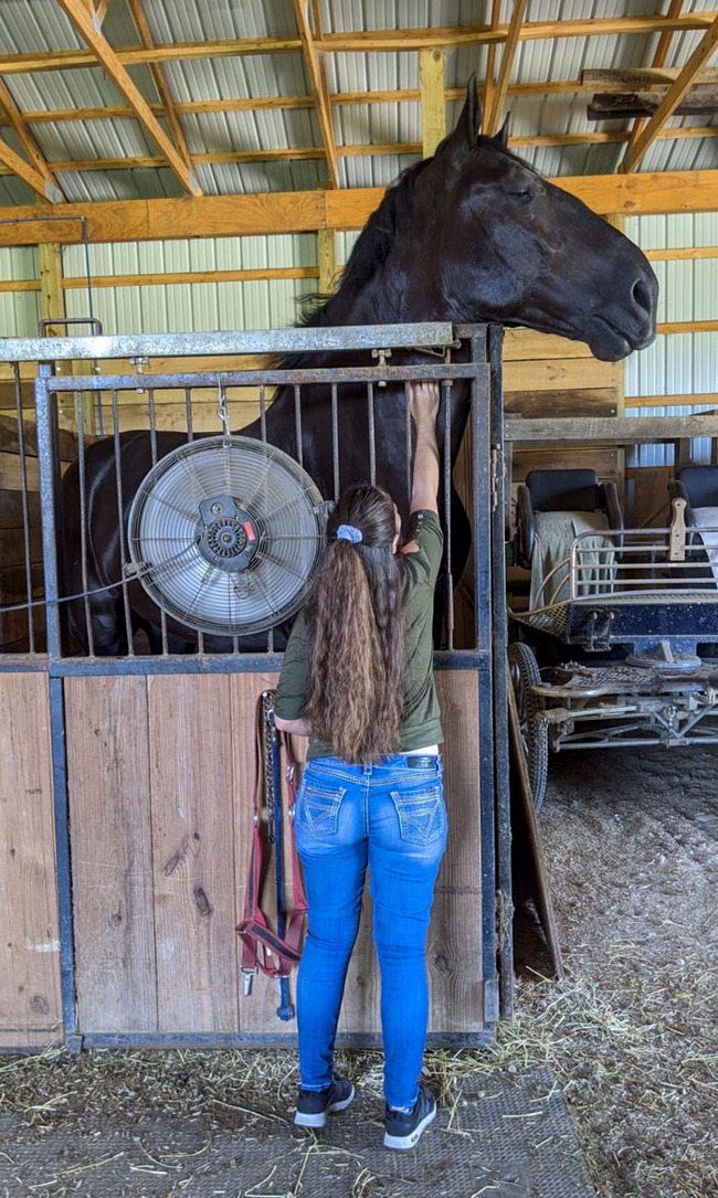 large-animals-6-66db01aae6f29__700