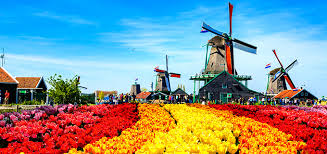 ダウンロード (2)