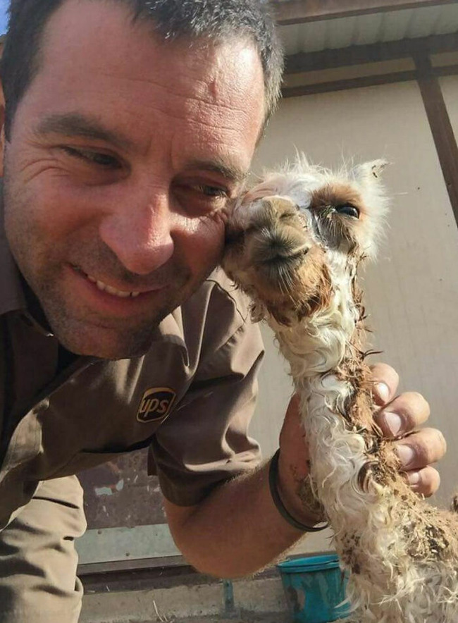 ups-drivers-meet-animals-1-66669f2ebc3be__700