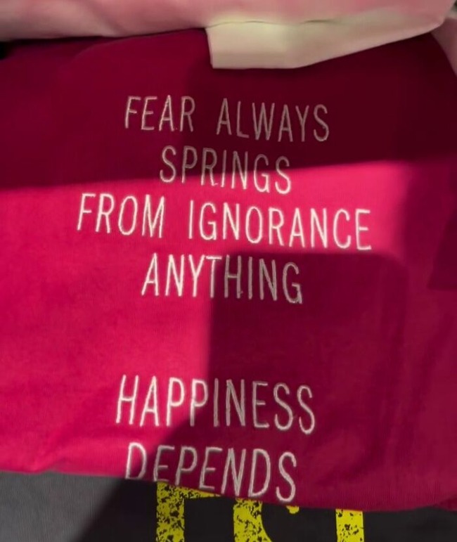 67fd017e8aa72_hilarious-japanese-tshirts-16