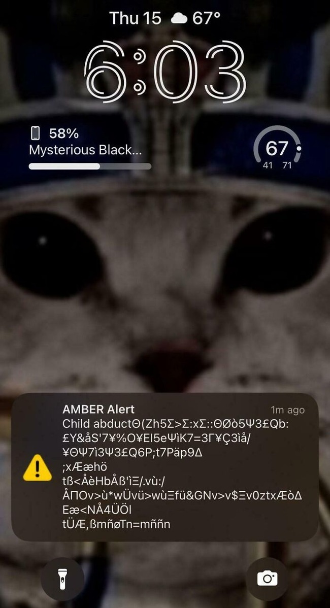 661691b43e1d8_software-glitches