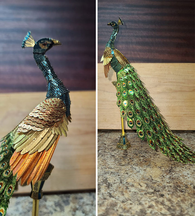 weird-secondhand-findings-6425536b9b634__700