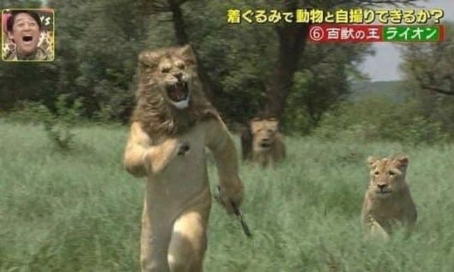 humans-doing-human-things-61fa81b88ace5__700