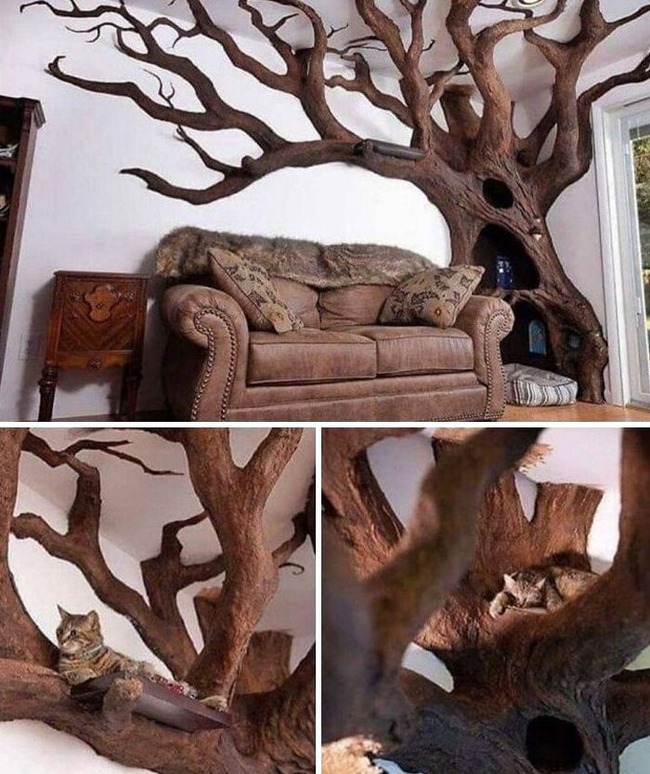 unique-unusual-gadgets-odditymall-1-632188fe2bf82__700
