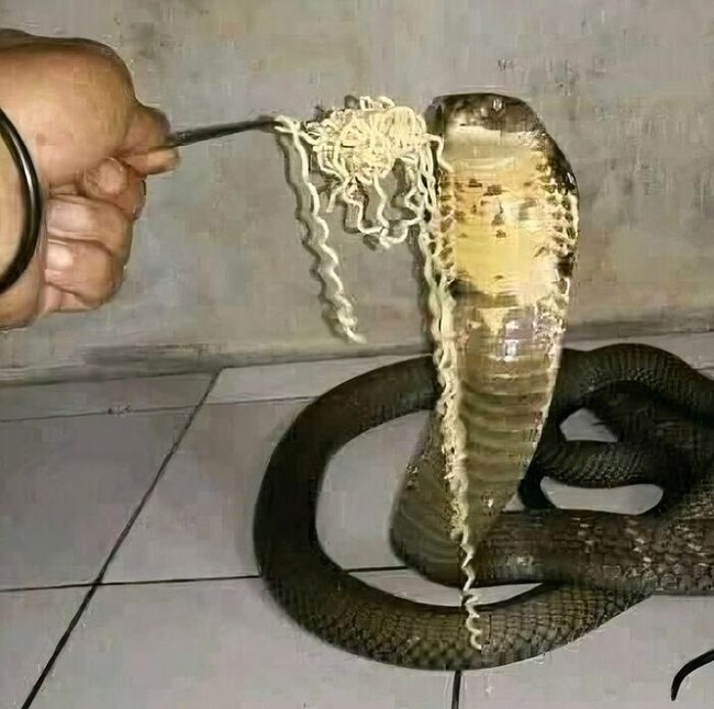673b1c196c62b_random-cursed-pics