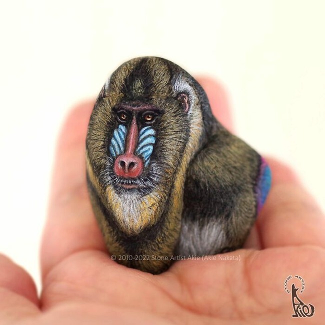 Japanese-artist-turns-rocks-into-cute-little-animals-New-Pics