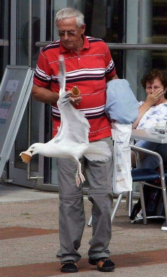 6700937514674_entd9i45qpsd1-jpeg__700