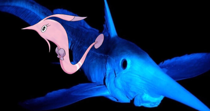 外国人 未だに日本がイルカのポケモンを登場させないのが信じられない 海外の万国反応記 海外の反応