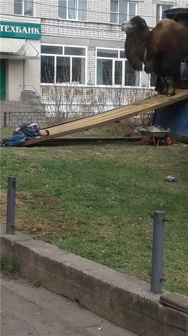 1580140663515