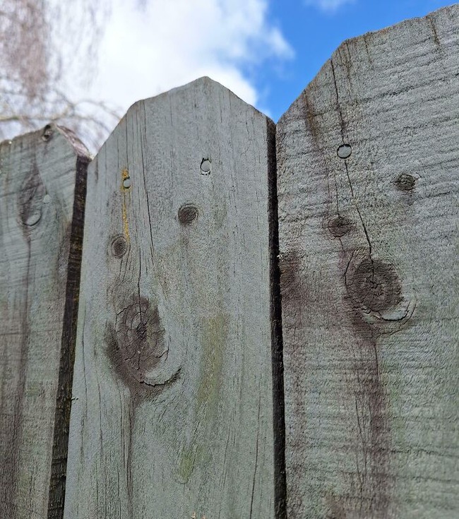 678521462cbf8_pareidolia-pictures
