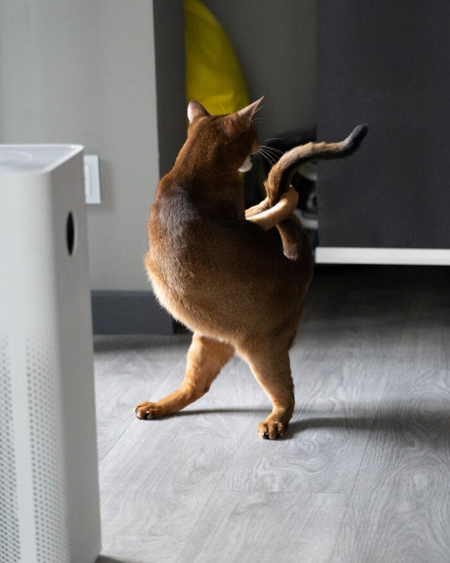 63725a92cf7ac_ufm9lkvticg91-png__700