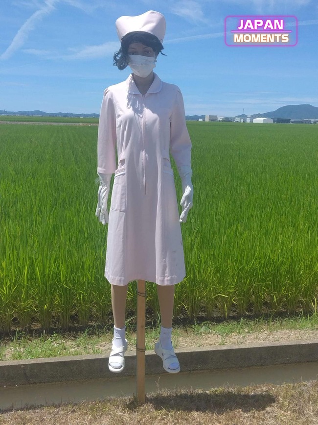 309570194_217810110580683_1345136031519395850_n