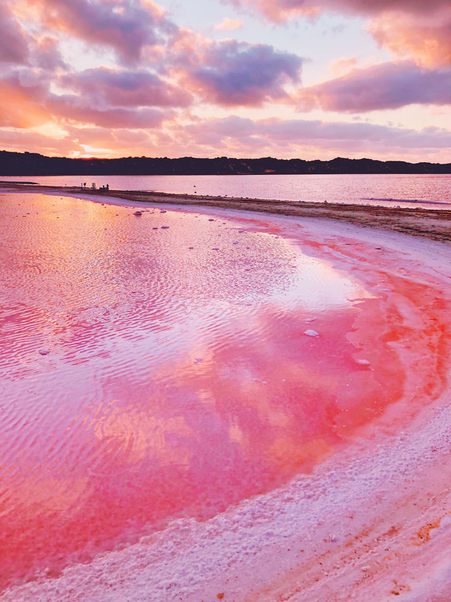 Magic-pink-lagoon-in-Western-Australia-5c6deffe4fc0c__880