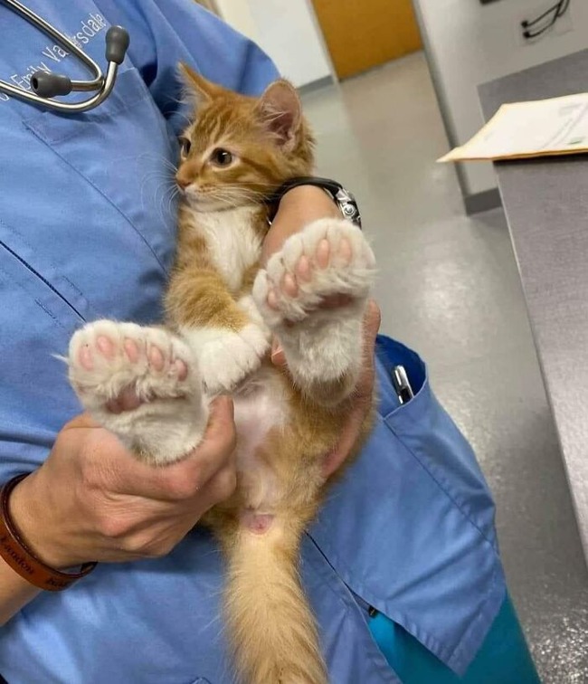 67e68630386fc_mind-blowing-photos