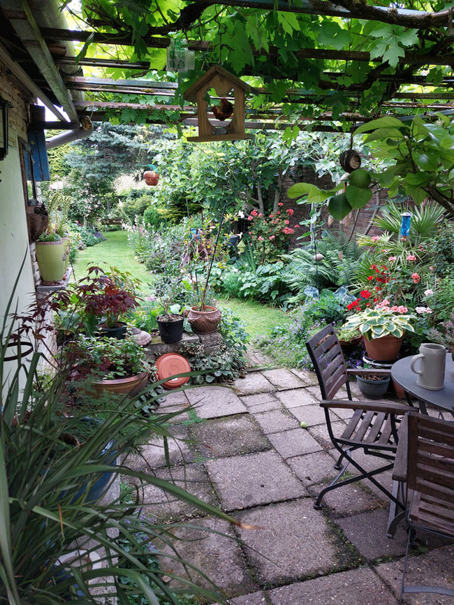 creative-gardening-pictures-62a9cd6a05c78__700