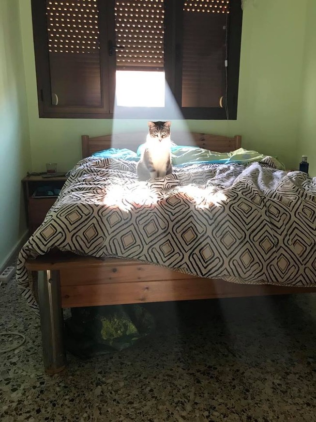 57dd9eed74f4ab93c615ba747d255703f9c9bda9cde219086b52f9dbbd1ce60f