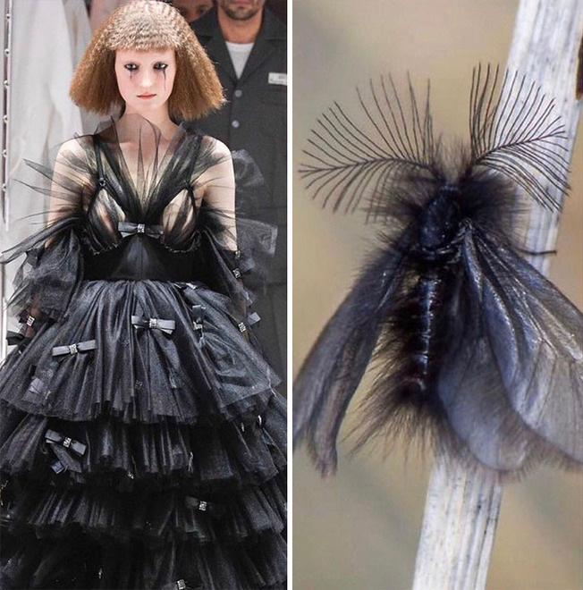parallels-between-fashion-and-nature