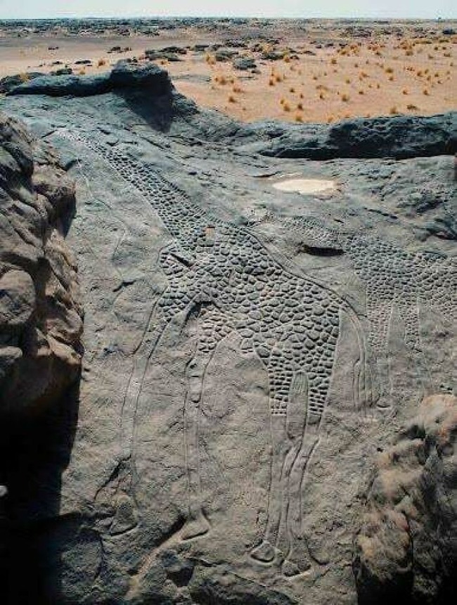 10000-year-old-Dabous-Giraffes-in-Niger-67ac5401511ac-jpeg__700