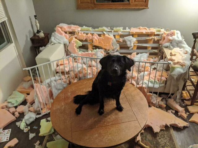 69bbd5f69a25b_56cved4trpk71__700