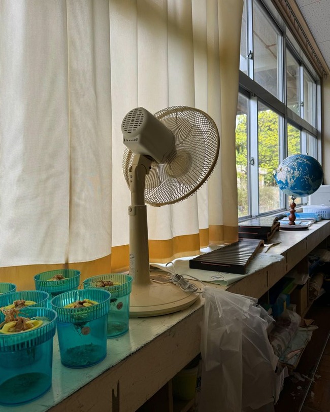 i-have-explored-abandoned-places (7)