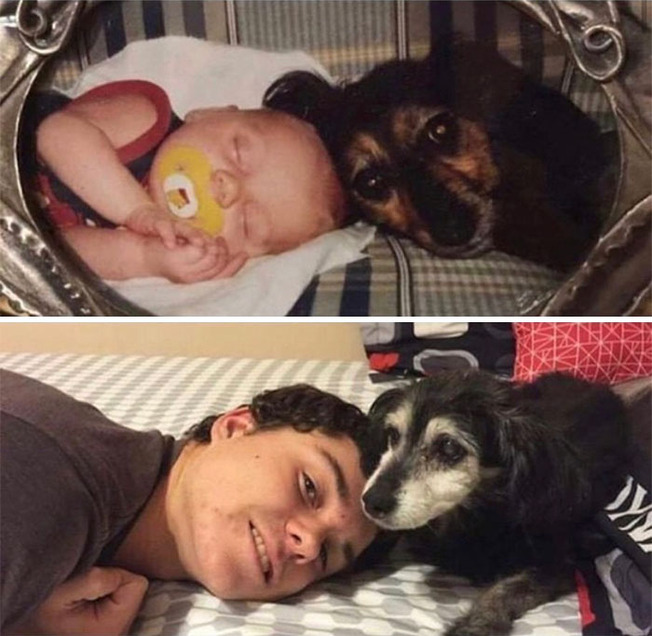 dogs-growing-up-173-6020f0e14ca60__700 (1)