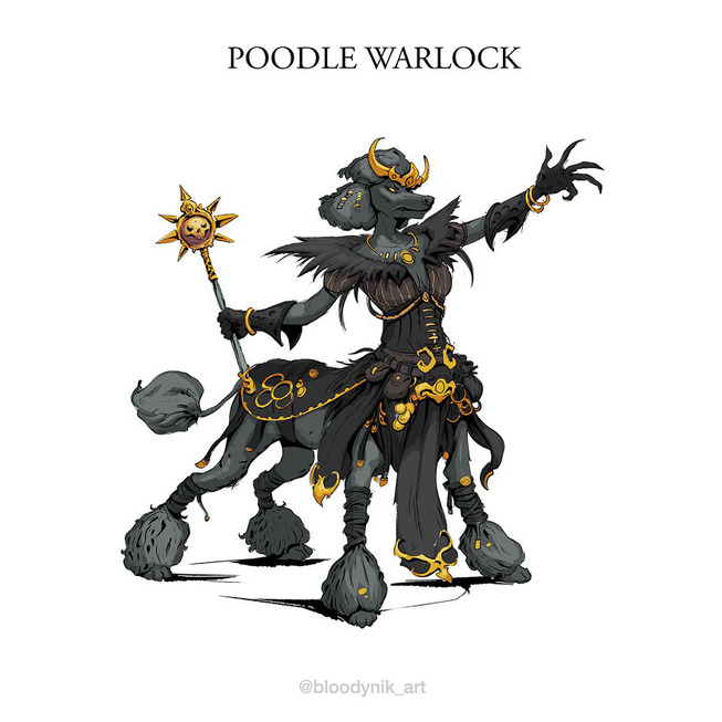 Poodle-Wizard-5badb299b238f-png__880