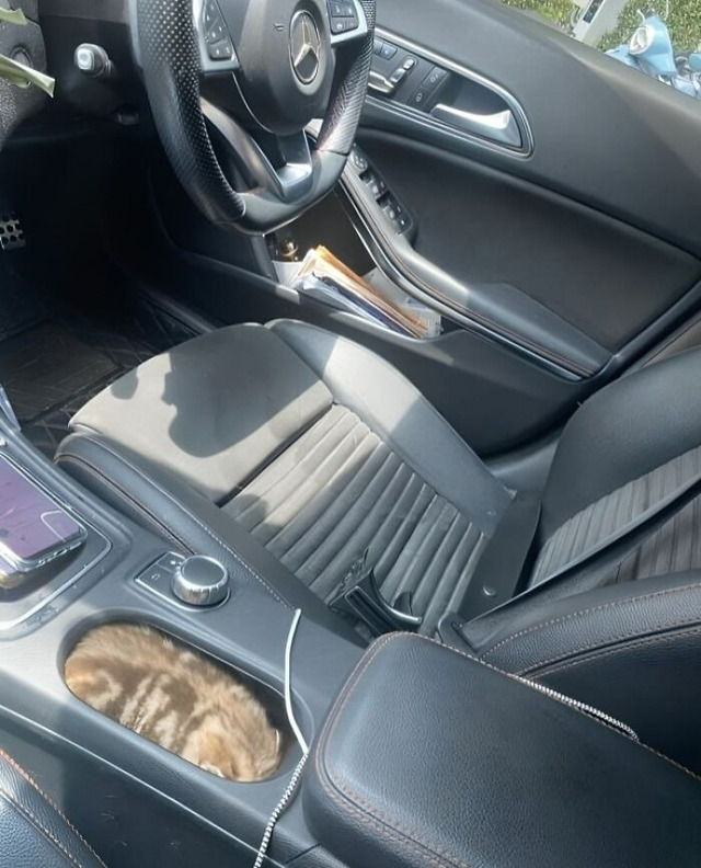 6928577e769f0_satisfying-perfect