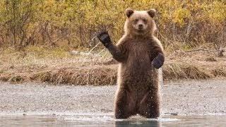 qwchfm31y0Dcem4VS7E9-o