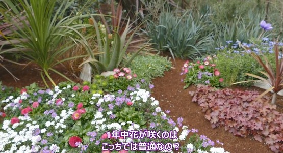 なんばパークス海外の反応