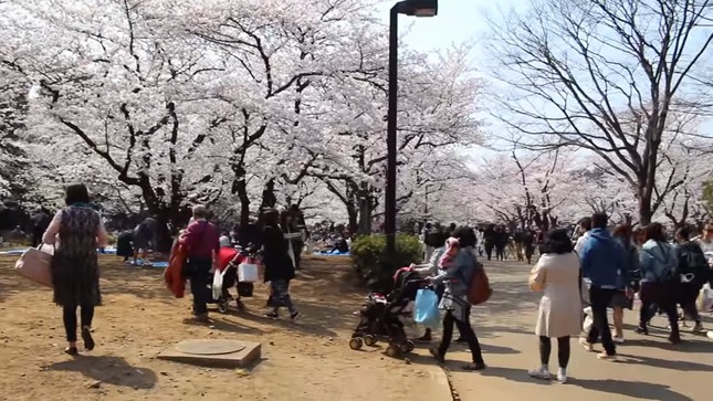 c2aafba0-2d60-468f-b0b2-686b182f1c4d