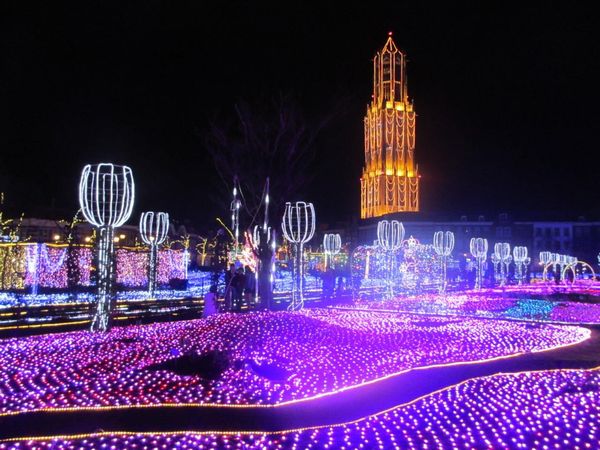 362696360_330286992666327_9100089053682812321_n