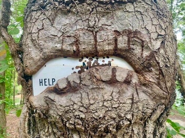 631ee36076e60_hungry-trees-taking-over-things