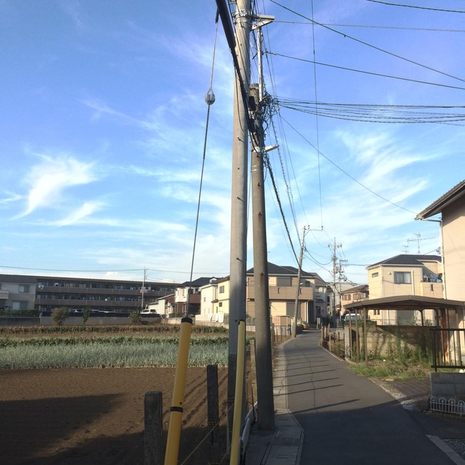 1 - R16mYcj