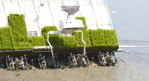 田植え 初挑戦 海外の反応