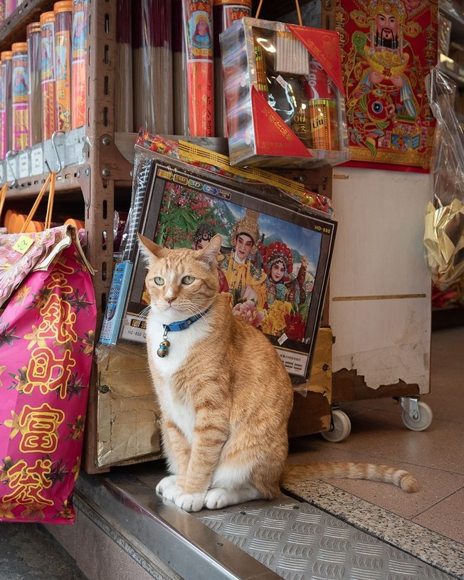 241125516_10161817360686840_5657622831771857258_n