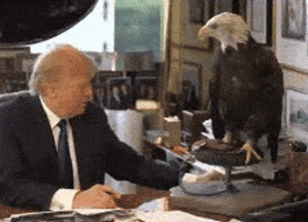 gduC5_Td2Fa_rEmAv52F-BX1E2e6PIHvW9o6WhoONFs