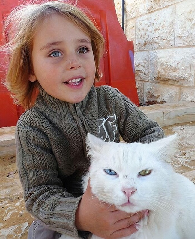 6385bb3006785_owners-and-pets-look-alike