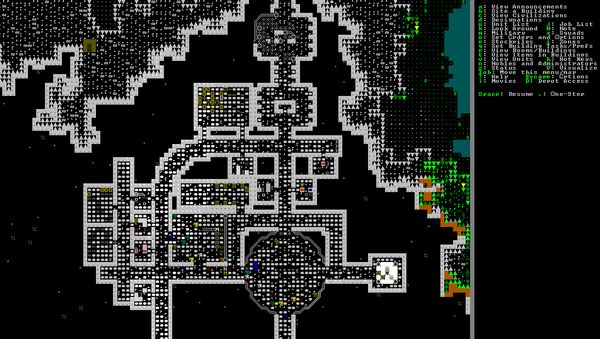 Dwarf-Fortress2